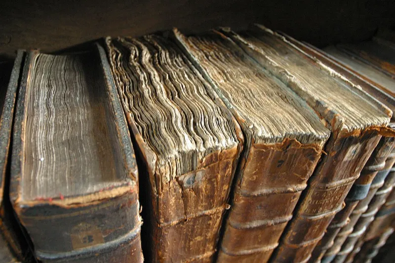 Twenty Years, Five Apartments, One Overdue Book: What I Owe the Cleveland Public Library